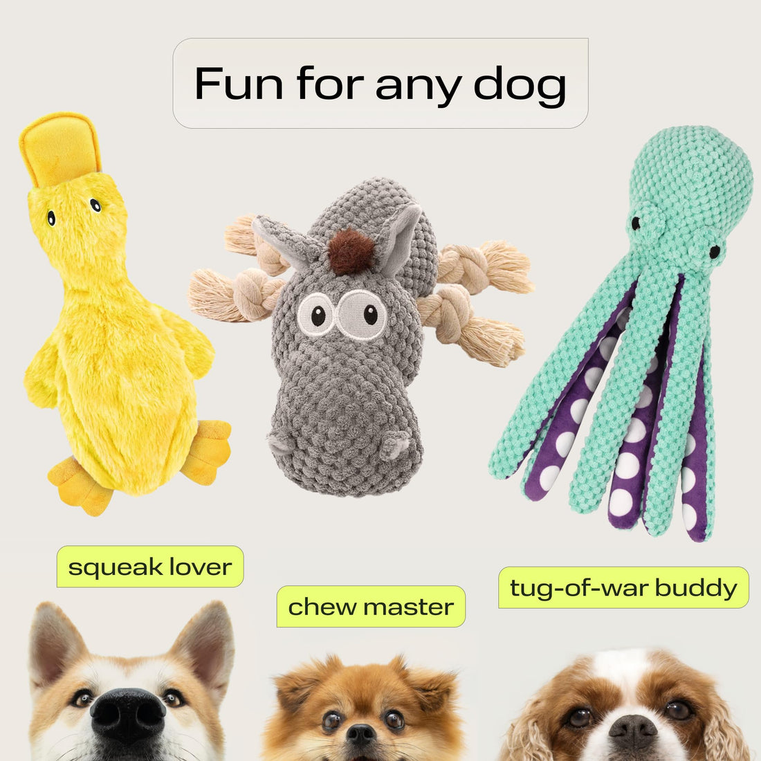 PetSpy Dog Gifts Squeaky Stuffed Dog Toy Pack - 3 Dog Chew Toys for Large